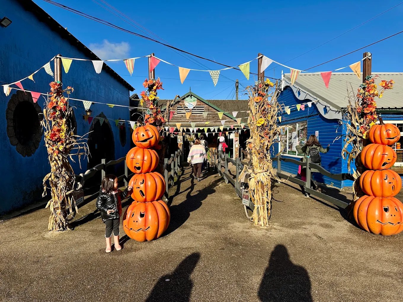 Willows Activity Farm — kids' party venue in London