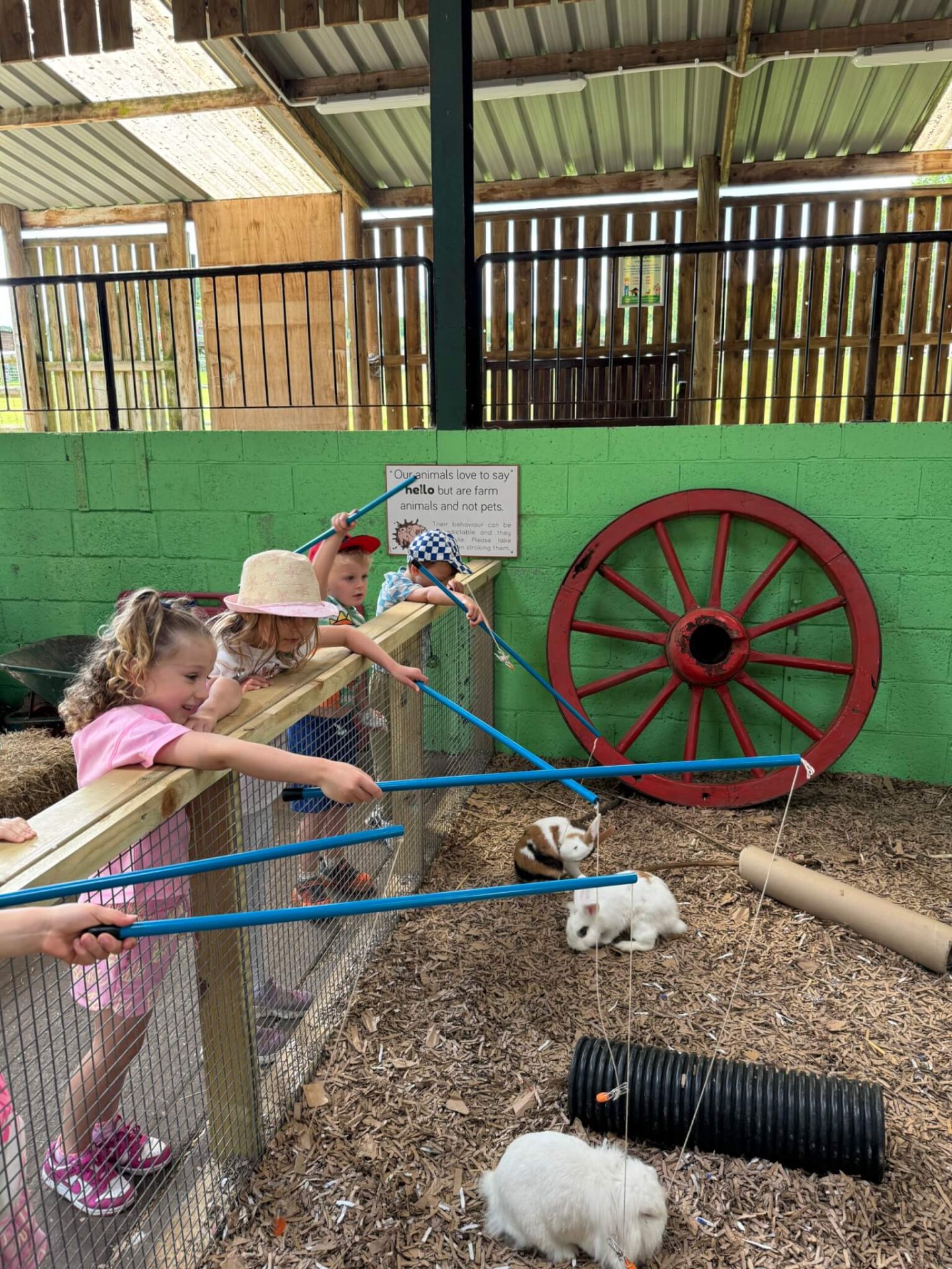 Godstone Farm — kids' party venue in London