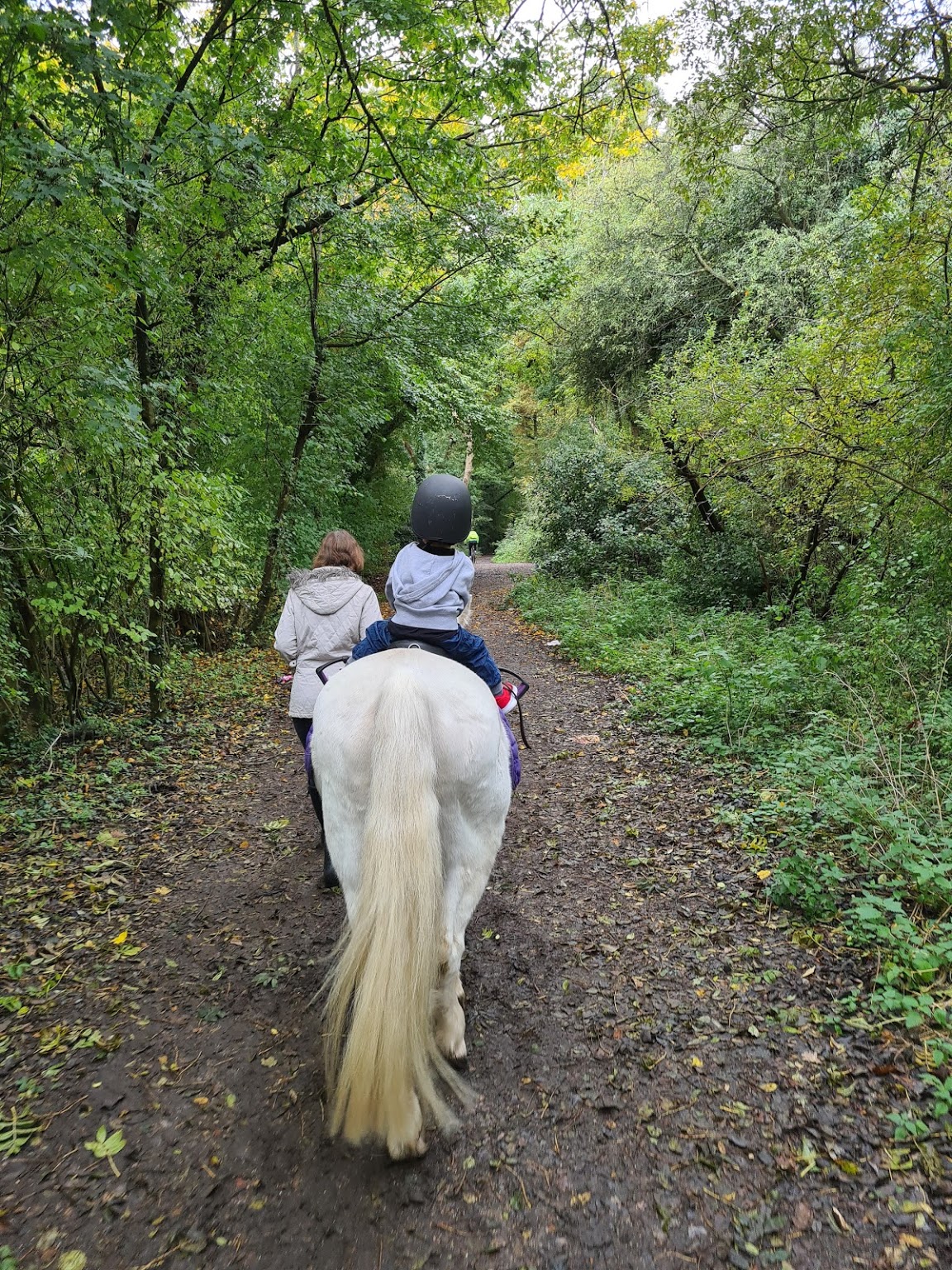 Ruislip Park Stables — kids' party venue in London