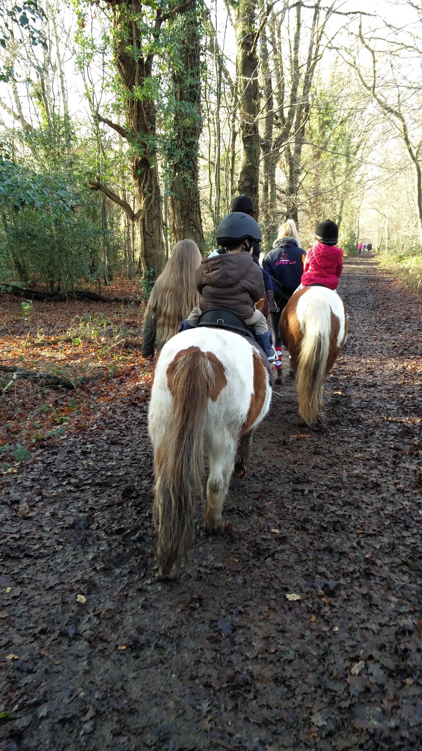 Ruislip Park Stables — kids' party venue in London
