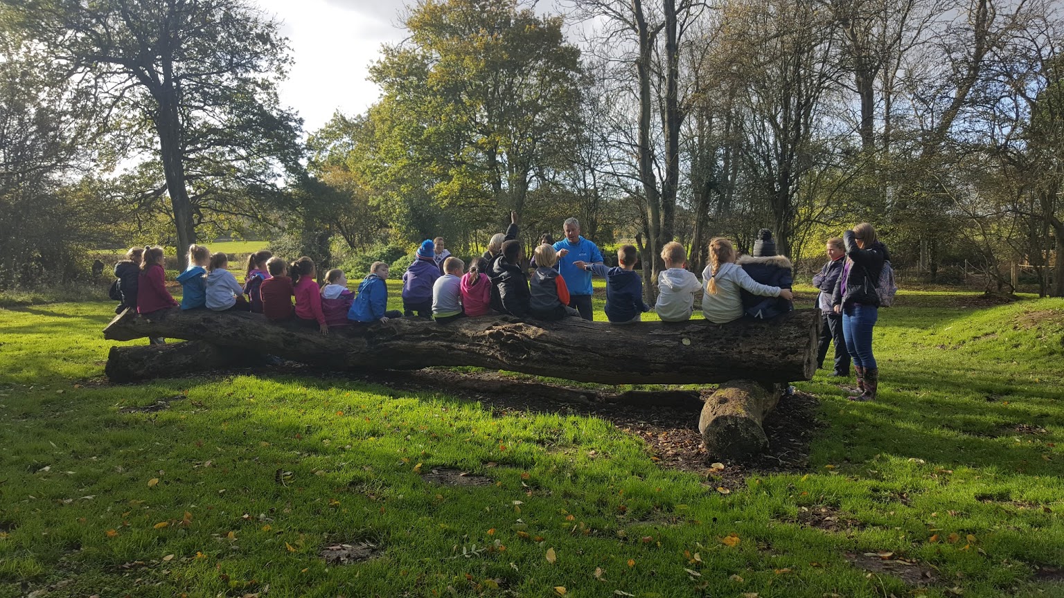 Mojo Active Activity Centre — kids' party venue in Bristol