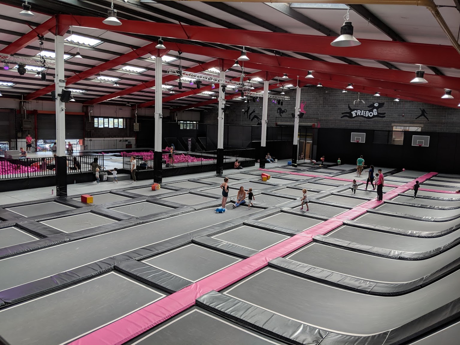 FreeDog - Bristol — kids' party venue in Bristol