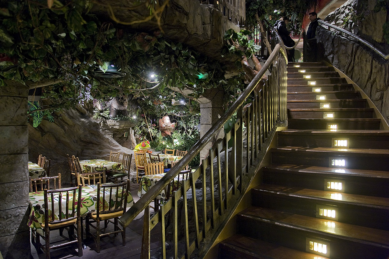 The Rainforest Café — kids' party venue in London
