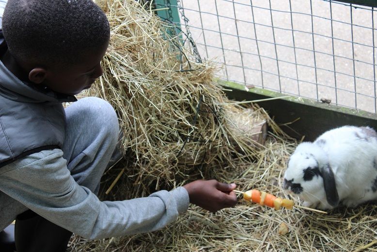 Vauxhall City Farm — kids' party venue in London