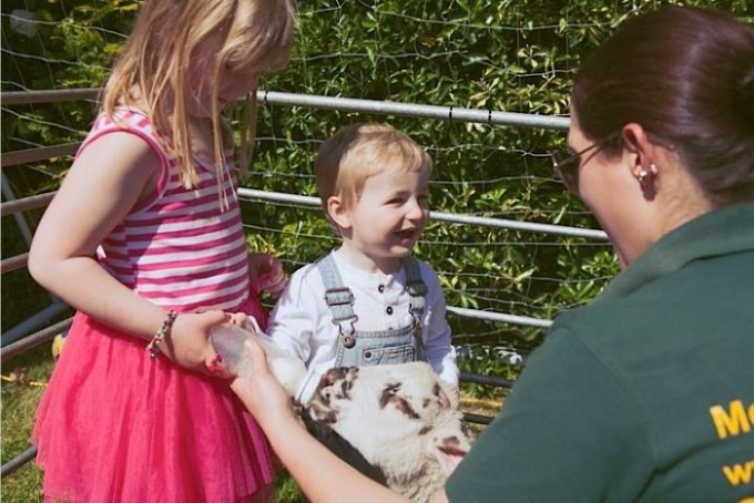 Rocky's Animals — kids' party venue in London