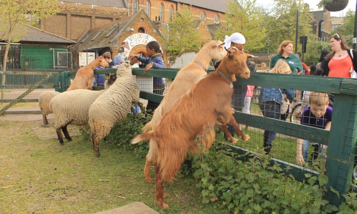 Vauxhall City Farm — kids' party venue in London