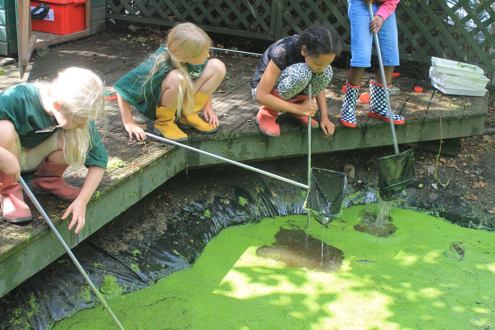 Vauxhall City Farm — kids' party venue in London