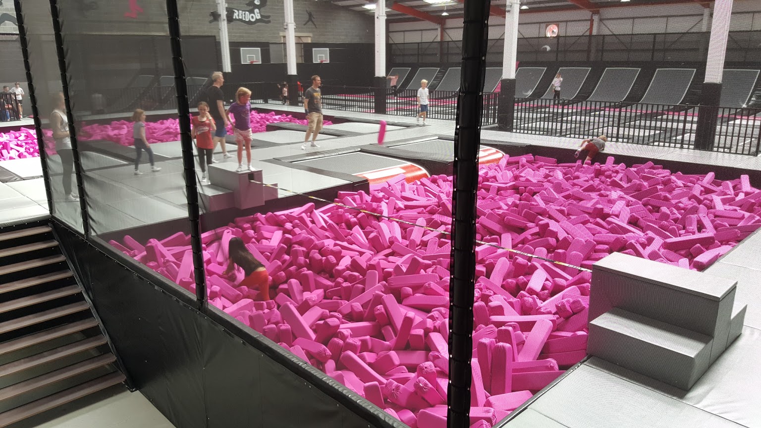 FreeDog - Bristol — kids' party venue in Bristol