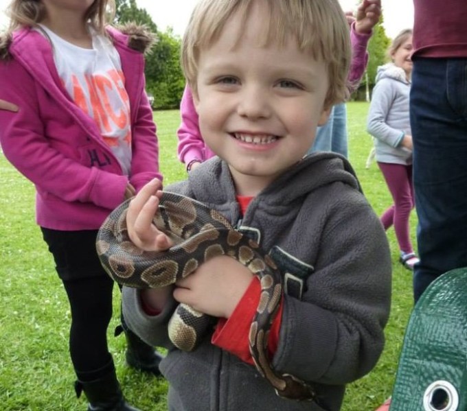 Rocky's Animals — kids' party venue in London