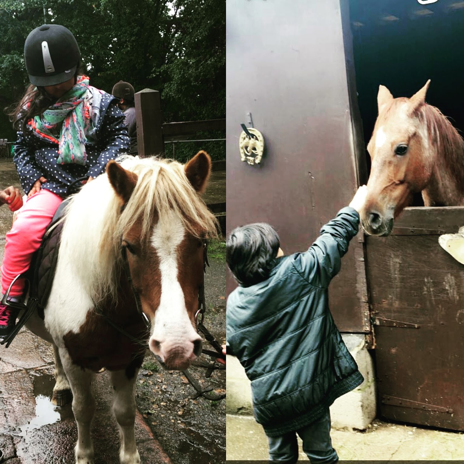 Ruislip Park Stables — kids' party venue in London