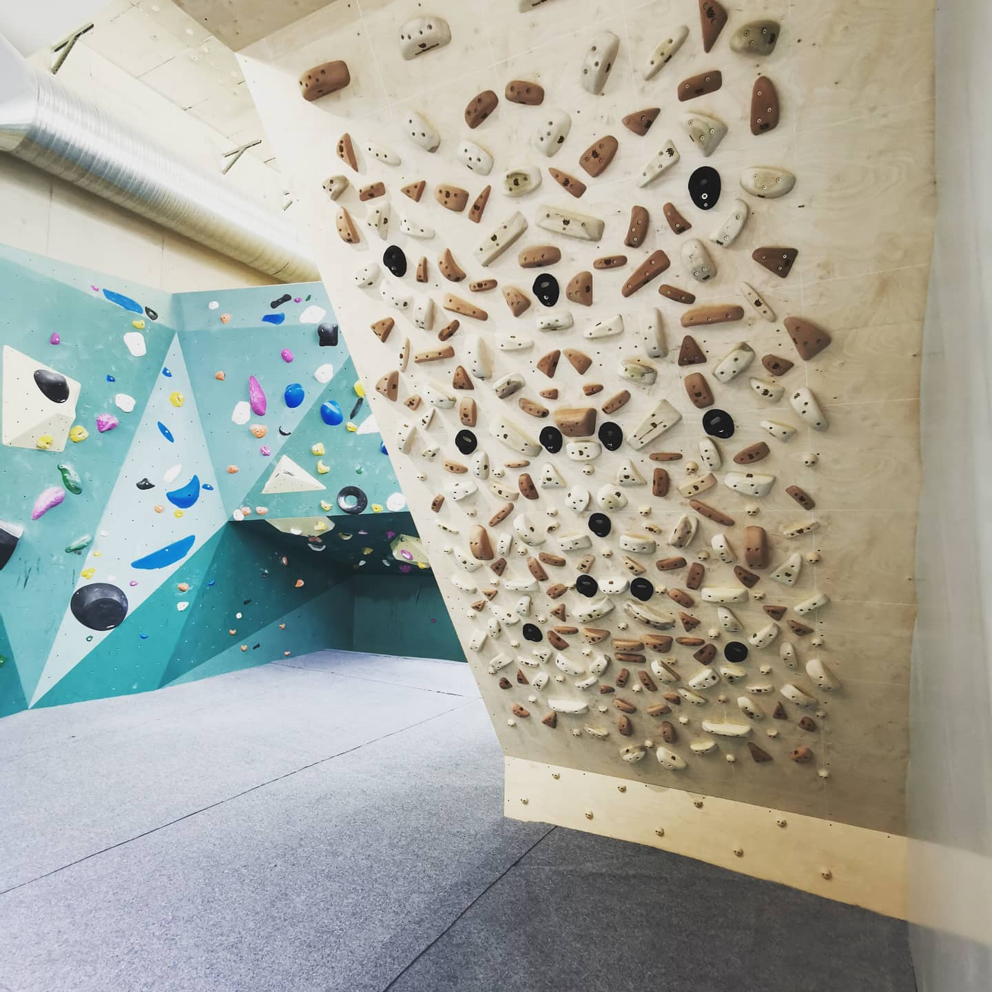 The Nest Climbing — kids' party venue in London
