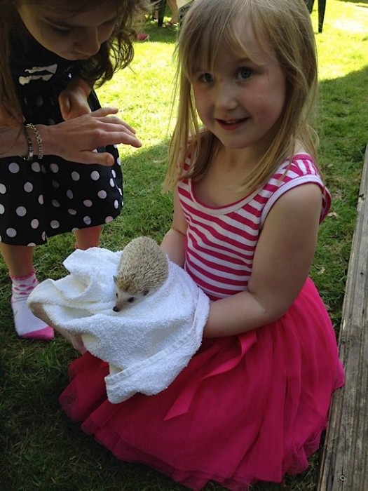 Rocky's Animals — kids' party venue in London