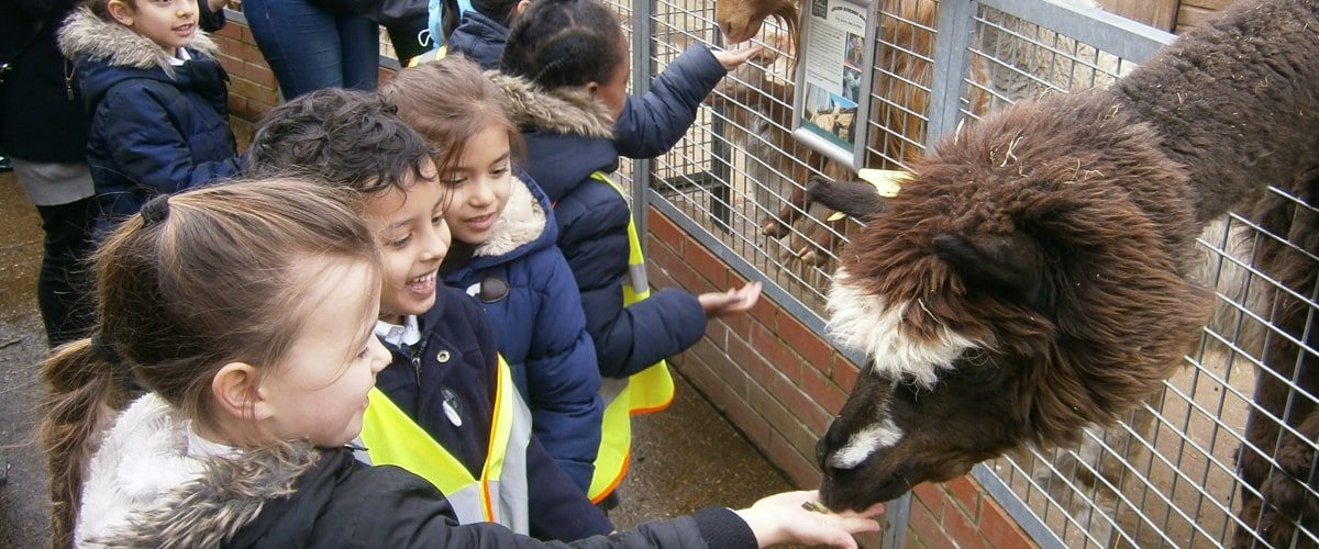 Vauxhall City Farm — kids' party venue in London
