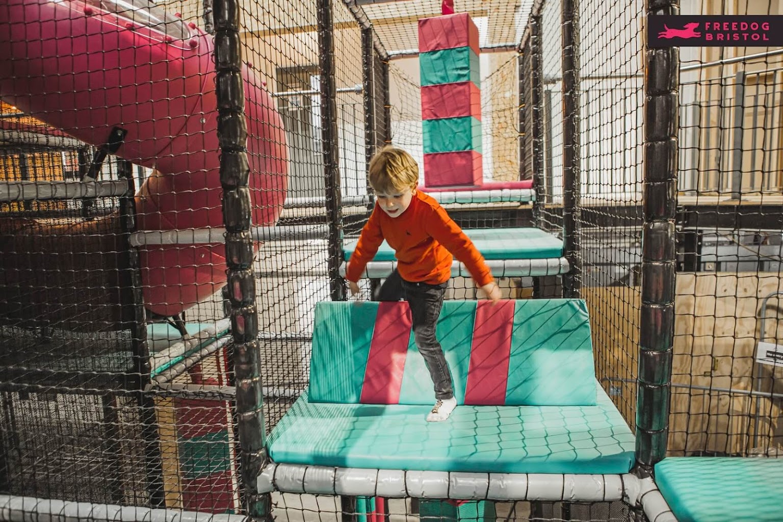 FreeDog - Bristol — kids' party venue in Bristol