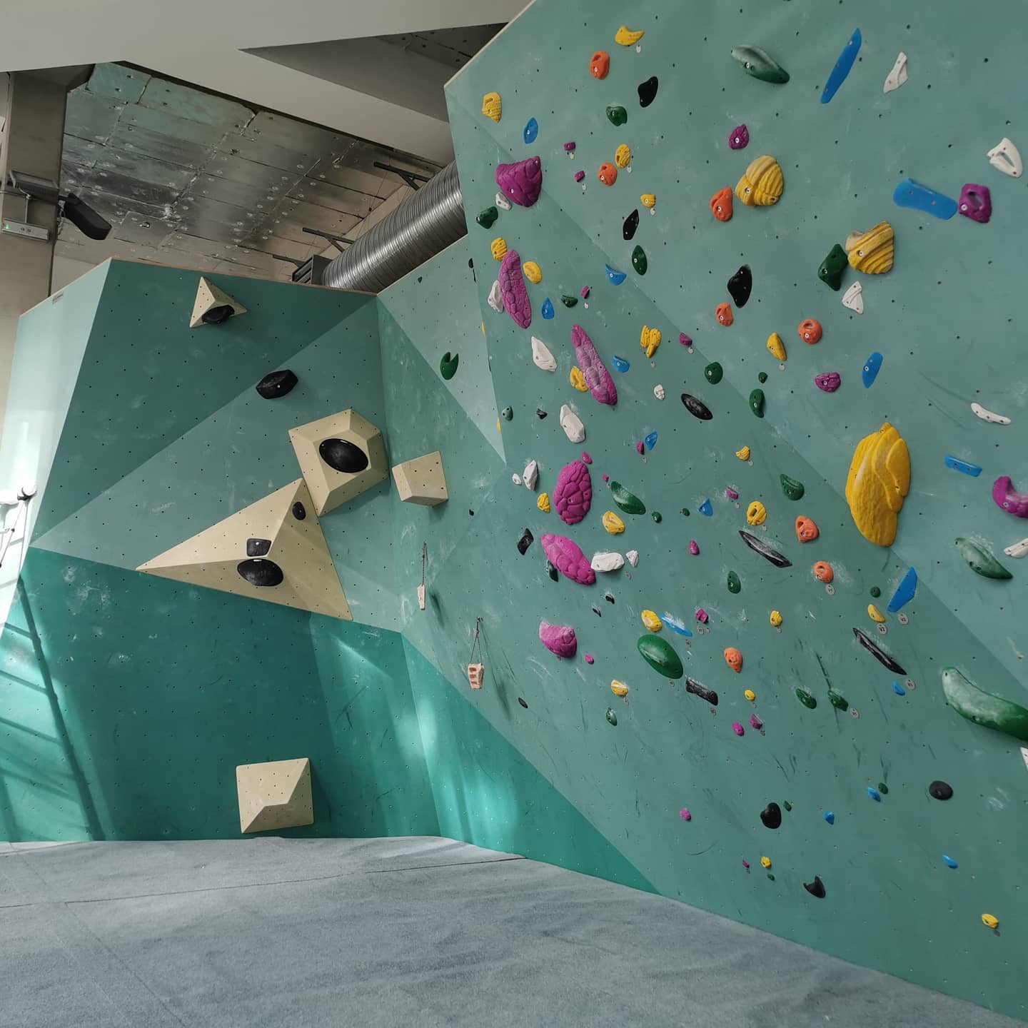 The Nest Climbing — kids' party venue in London
