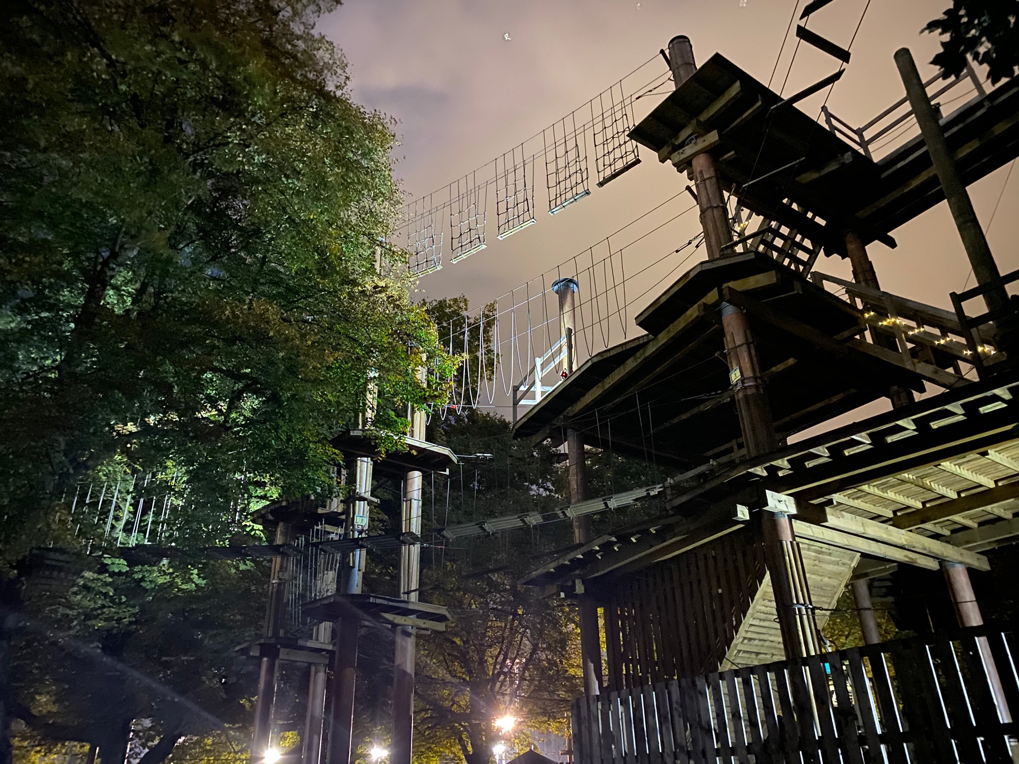 Go Ape - Battersea — kids' party venue in London