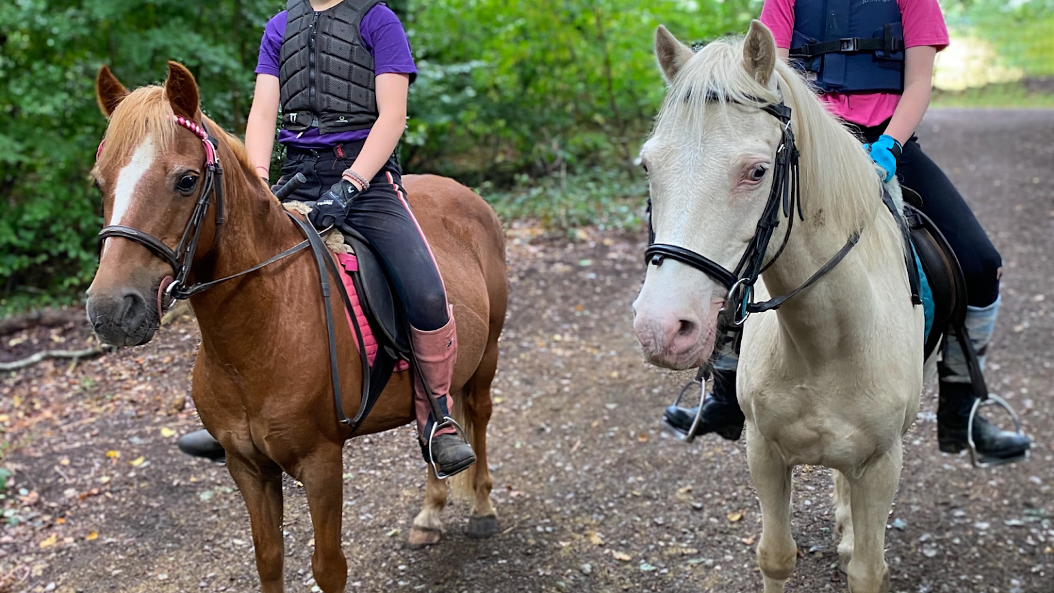 Ruislip Park Stables — kids' party venue in London