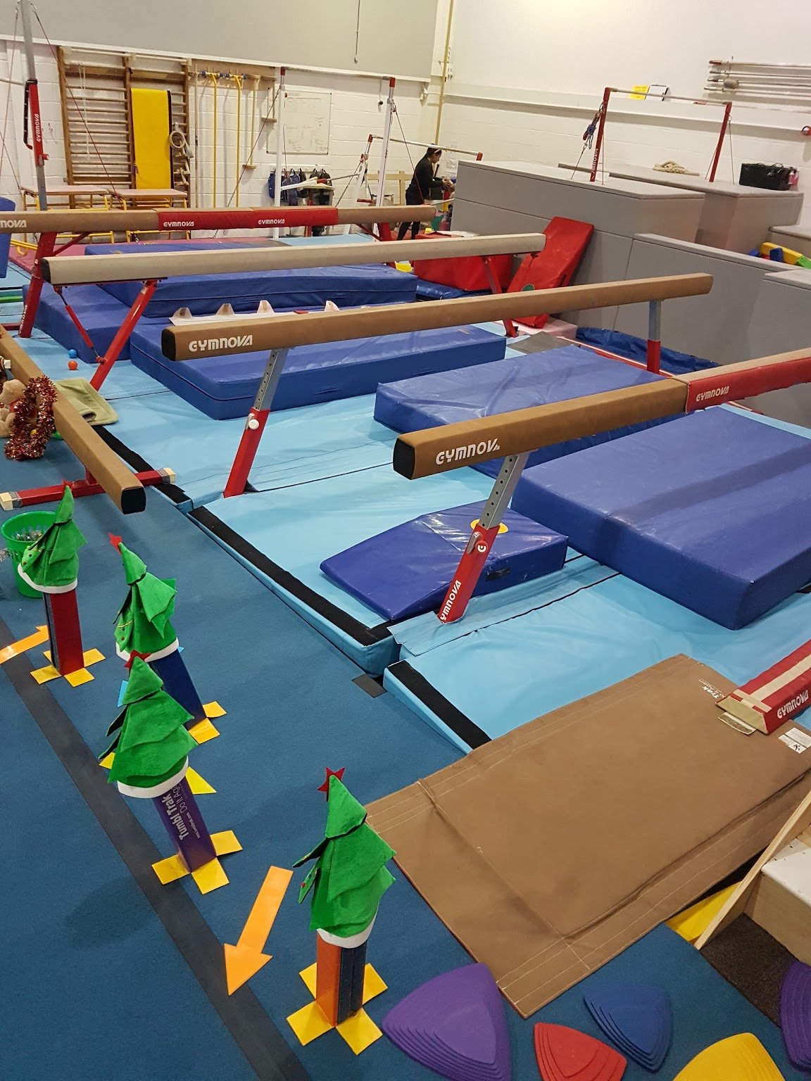 The Academy of Gymnastics — kids' party venue in Bristol
