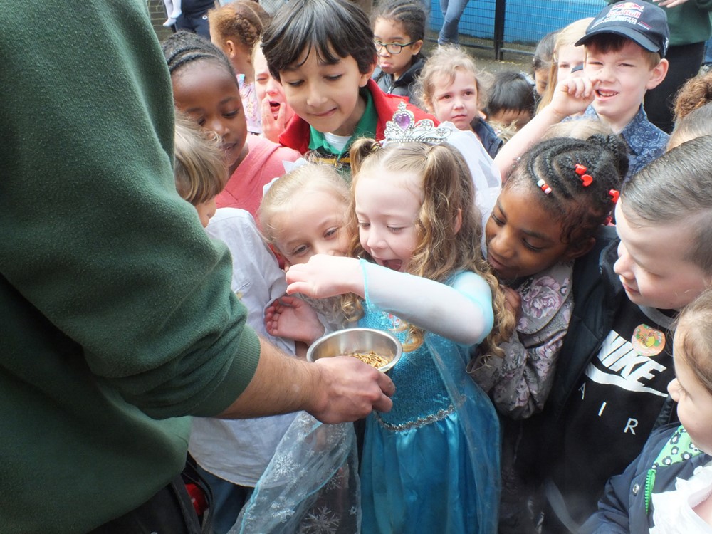 Battersea Park Children's Zoo — kids' party venue in London