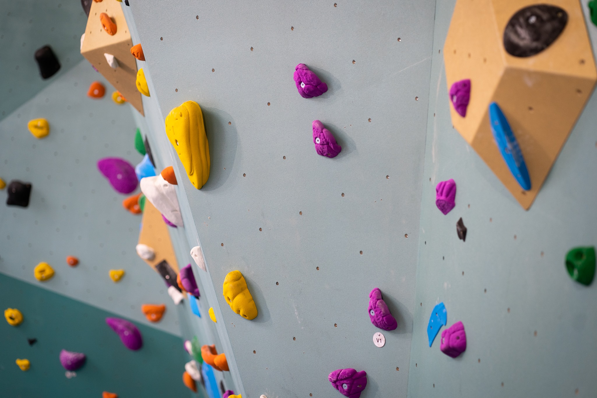 The Nest Climbing — kids' party venue in London