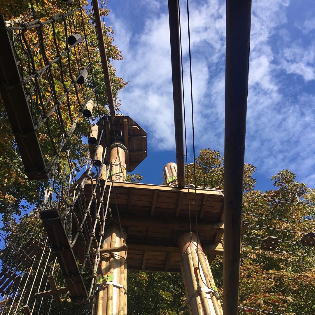 Go Ape - Battersea — kids' party venue in London